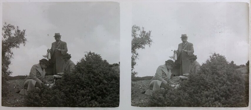 Views of Delphi 008, Personal Glass, 1930