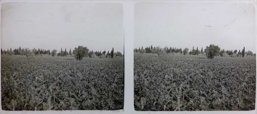 Views of Olympia 04, Personal Glass, 1930
