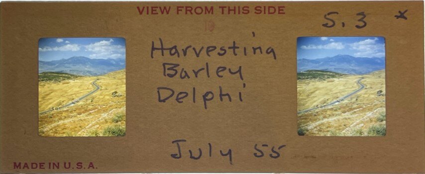 Harvesting at Delphi, Greece, 1955, Personal Realist
