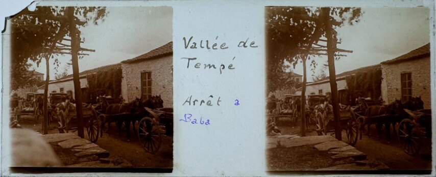 Horse cariages at a village at Tempi, Greece, 1915