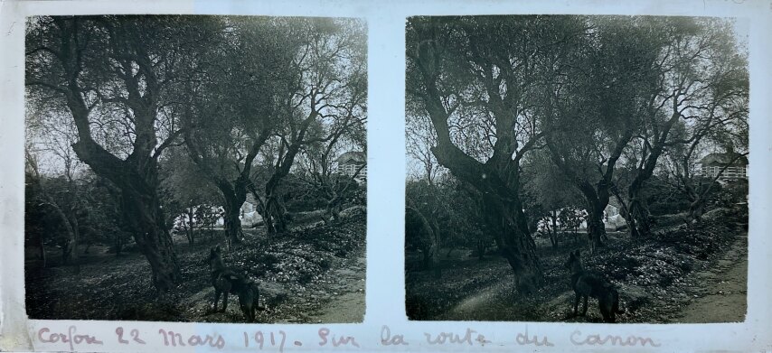 Corfu, 22 March 1917, View of road, Greece, Personal Glass