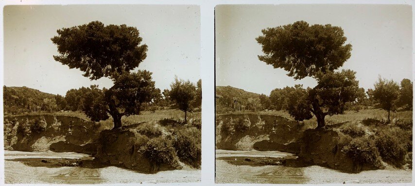Olympia, Personal Collection Glass, 1930, Greece (2)