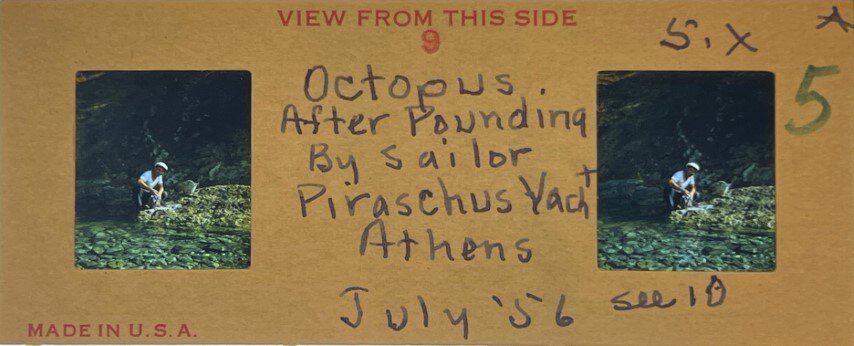 Octopus pounding, Athens,Greece, 1956, Personal Realist