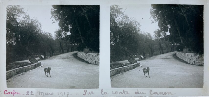 Corfu 22 May 1917, Pontikonisi 2, Greece, Personal Glass