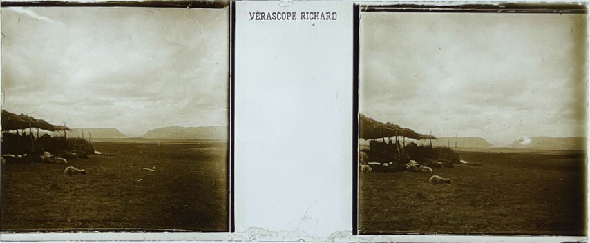 Country side and sheep view - Glass, Greece.jpg