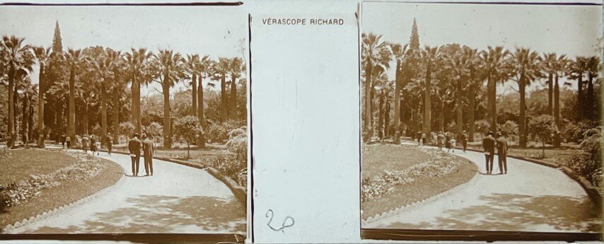 Athens Royal Garden 1 - Glass, Greece.jpg